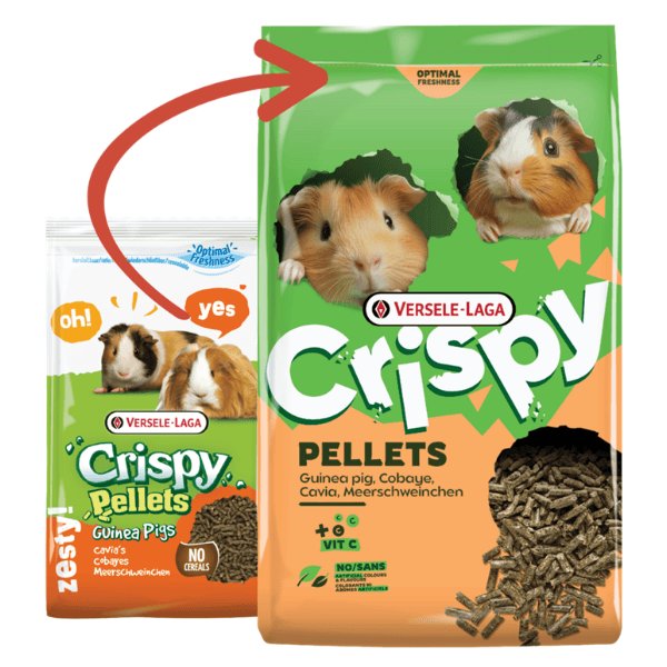Versele Laga Versele-Laga Crispy Muesli Food for Guinea Pigs