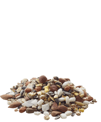 Versele Laga Versele-Laga Nature Snack Nutties Treats