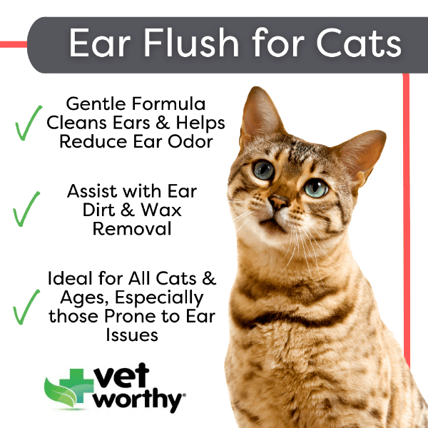 Vet Worthy Ear Flush for Cats Petland Canada