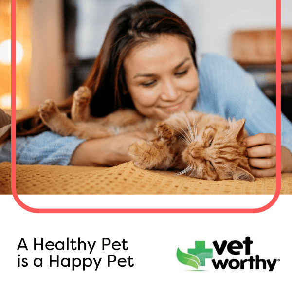 Vet Worthy Ear Flush for Cats Petland Canada