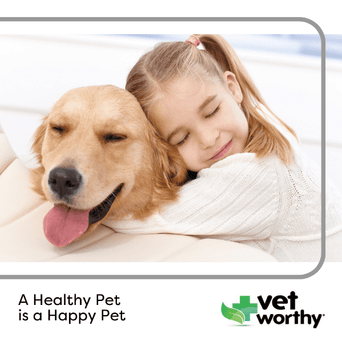 Vet Worthy Vet Worthy Joint Support Level 1 for Dogs
