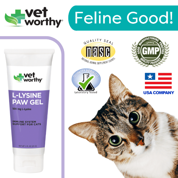 L lysine treats for cats sale