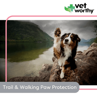 Vet Worthy Vet Worthy Paw Pad Shield for Dogs