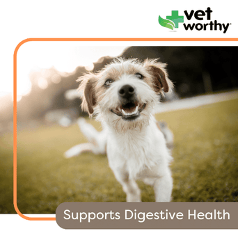 Vet Worthy Vet Worthy Probiotic Capsules for Dogs