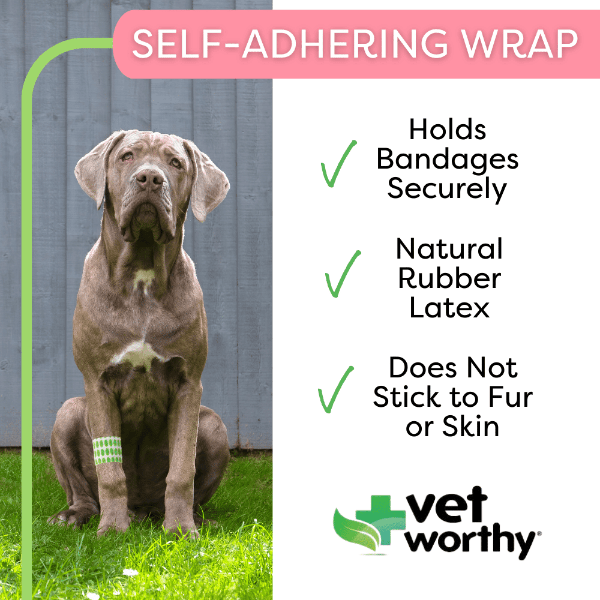 Electronic bandages for hot sale dogs