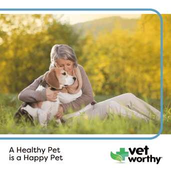 Vet Worthy Vet Worthy Senior Multi Vitamin Tablets for Dogs