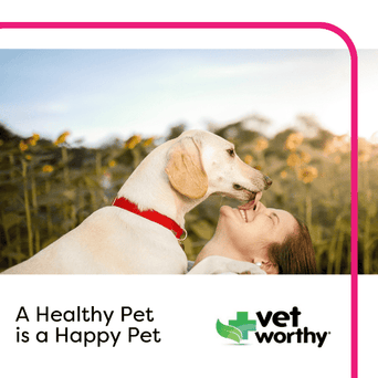 Vet Worthy Vet Worthy Tear Stain Pads for Dogs