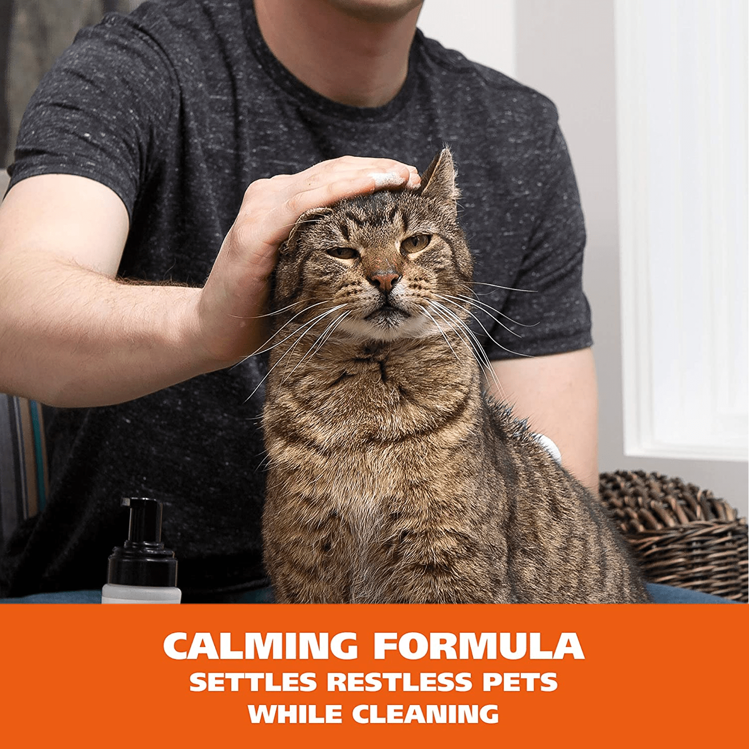 Calming formula best sale for cats