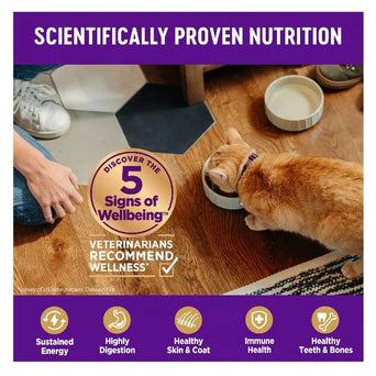 Wellness Wellness Complete Health Grain Free Indoor Deboned Chicken Dry Cat Food