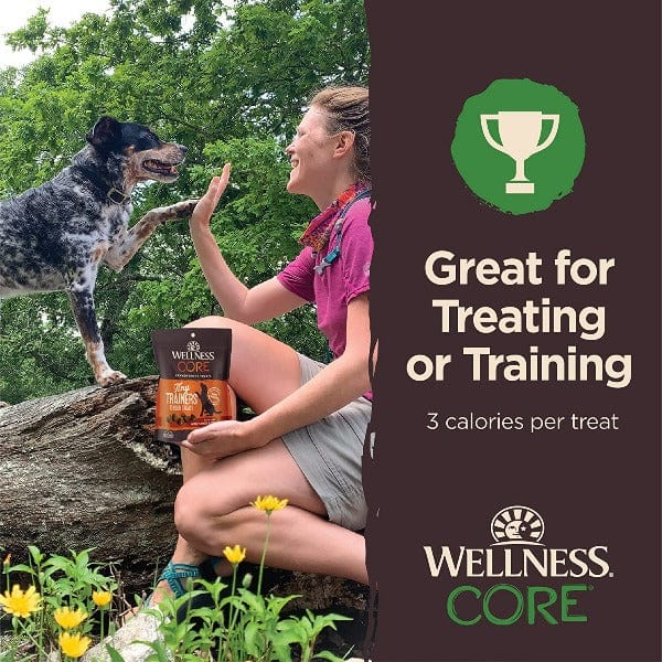 Wellness Wellness CORE Tiny Trainers Tender Treats Lamb & Apple Dog Treats