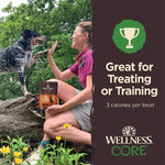 Wellness Wellness CORE Tiny Trainers Tender Treats Lamb & Apple Dog Treats