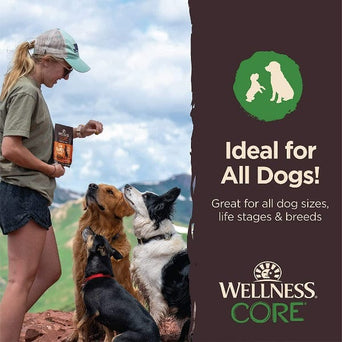 Wellness Wellness CORE Tiny Trainers Tender Treats Lamb & Apple Dog Treats