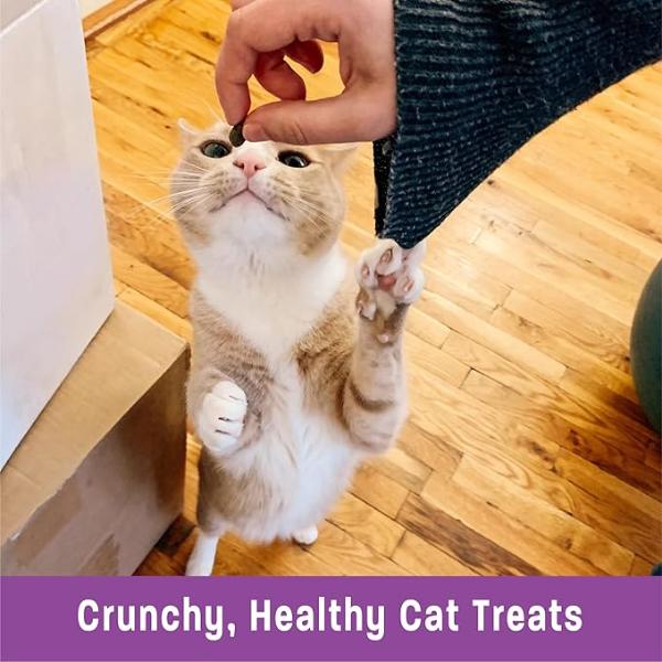 Wellness Wellness Kittles Salmon & Cranberries Cat Treats