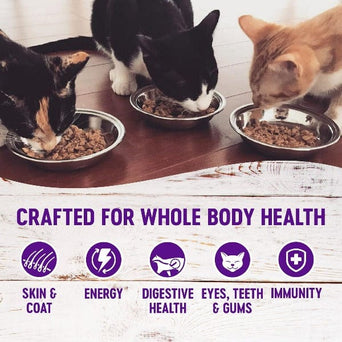 Wellness Wellness Tuna Morsels in Gravy Canned Cat Food
