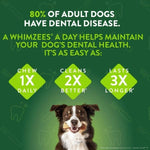 Wellness Whimzees Brushzees Natural Dental Chews