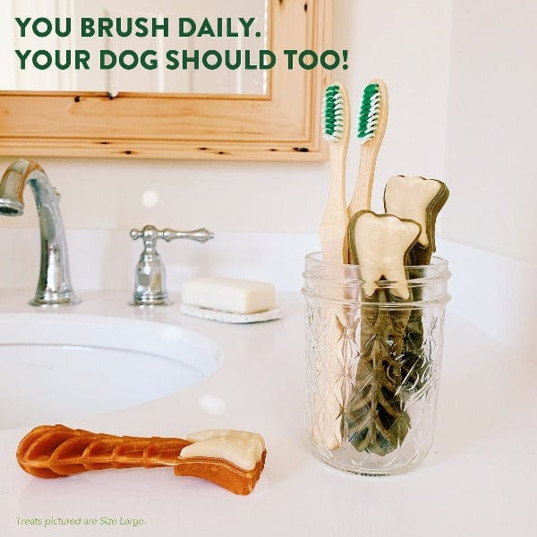 Wellness Whimzees Brushzees Natural Dental Chews