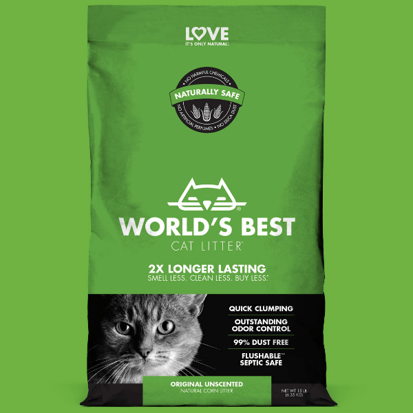 Best cat litter options online