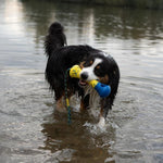 Zeus Zeus NITRO Weighted Buoy with Rope