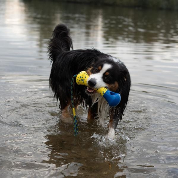 Zeus Zeus NITRO Weighted Buoy with Rope