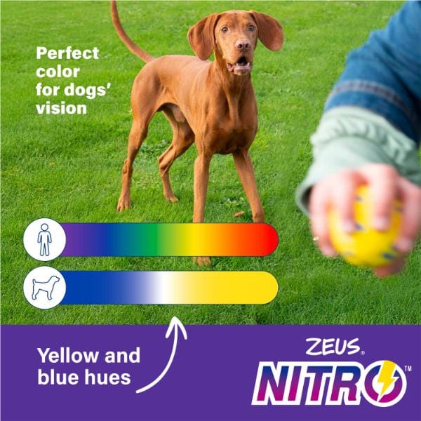 Zeus Zeus NITRO Weighted Buoy with Rope