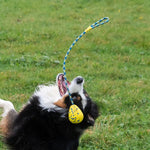 Zeus Zeus NITRO Weighted Slinger with Rope