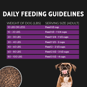 Zignature Zignature Select Cuts Kangaroo Formula with Super Grains Dry Dog Food