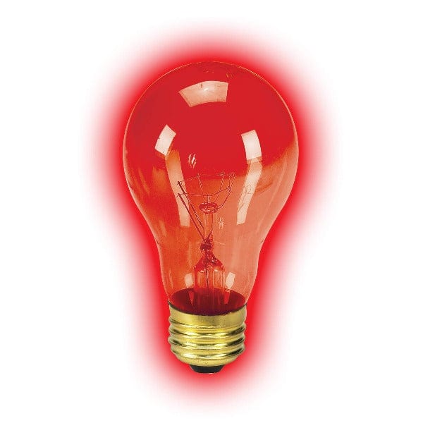 Zilla Zilla Incandescent Bulbs; Night Red