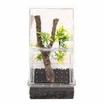 Zoo Med Zoo Med Creatures Arboreal Creature Kit