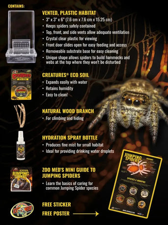 Zoo Med Zoo Med Creatures Jumping Spider Kit