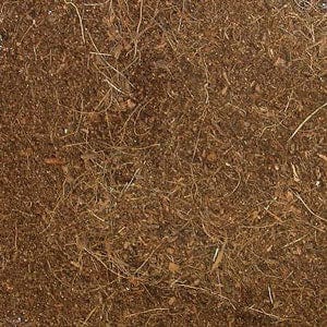 Zoo Med Zoo Med Eco Earth Coconut Fiber Substrate
