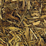 Zoo Med Zoo Med Forest Floor Bedding