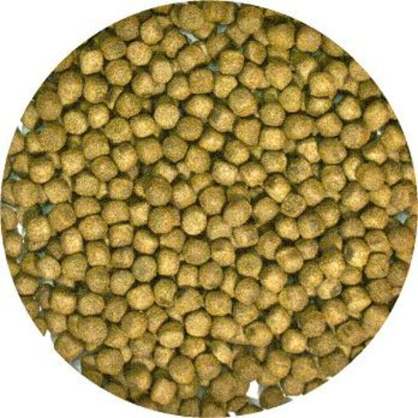 Zoo Med Zoo Med Natural Aquatic Turtle Food; Maintenance Formula