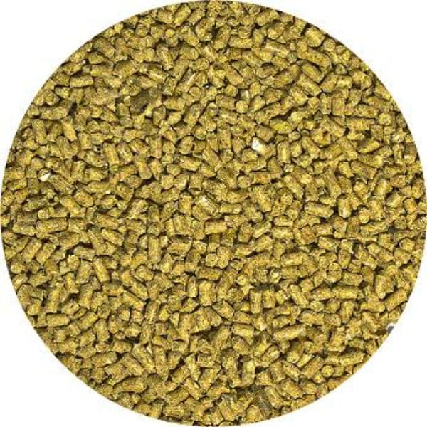 Zoo Med Zoo Med Natural Bearded Dragon Food; Adult Formula
