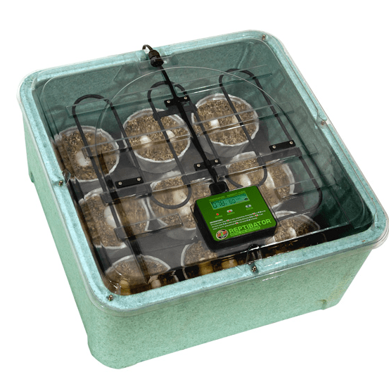 Zoo Med Zoo Med Reptibator Egg Incubator