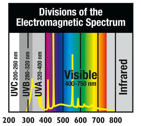 Zoo Med Zoo Med T5 HO ReptiSun® 10.0 UVB