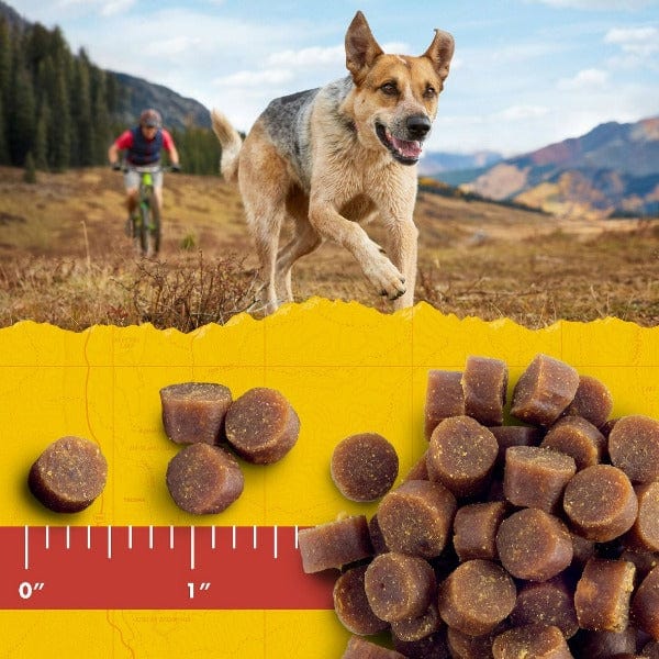 Zuke's Zuke's Mini Naturals Salmon Recipe Dog Treats