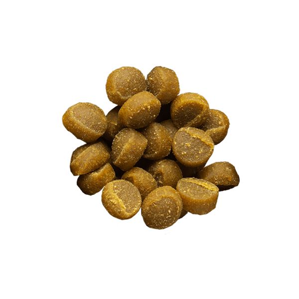 Zuke's Zuke's Mini Naturals Salmon Recipe Dog Treats