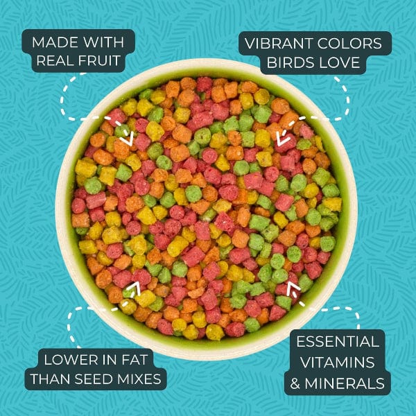 ZuPreem ZuPreem FruitBlend Flavor Bird Food, Small
